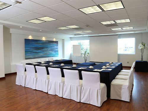 salon